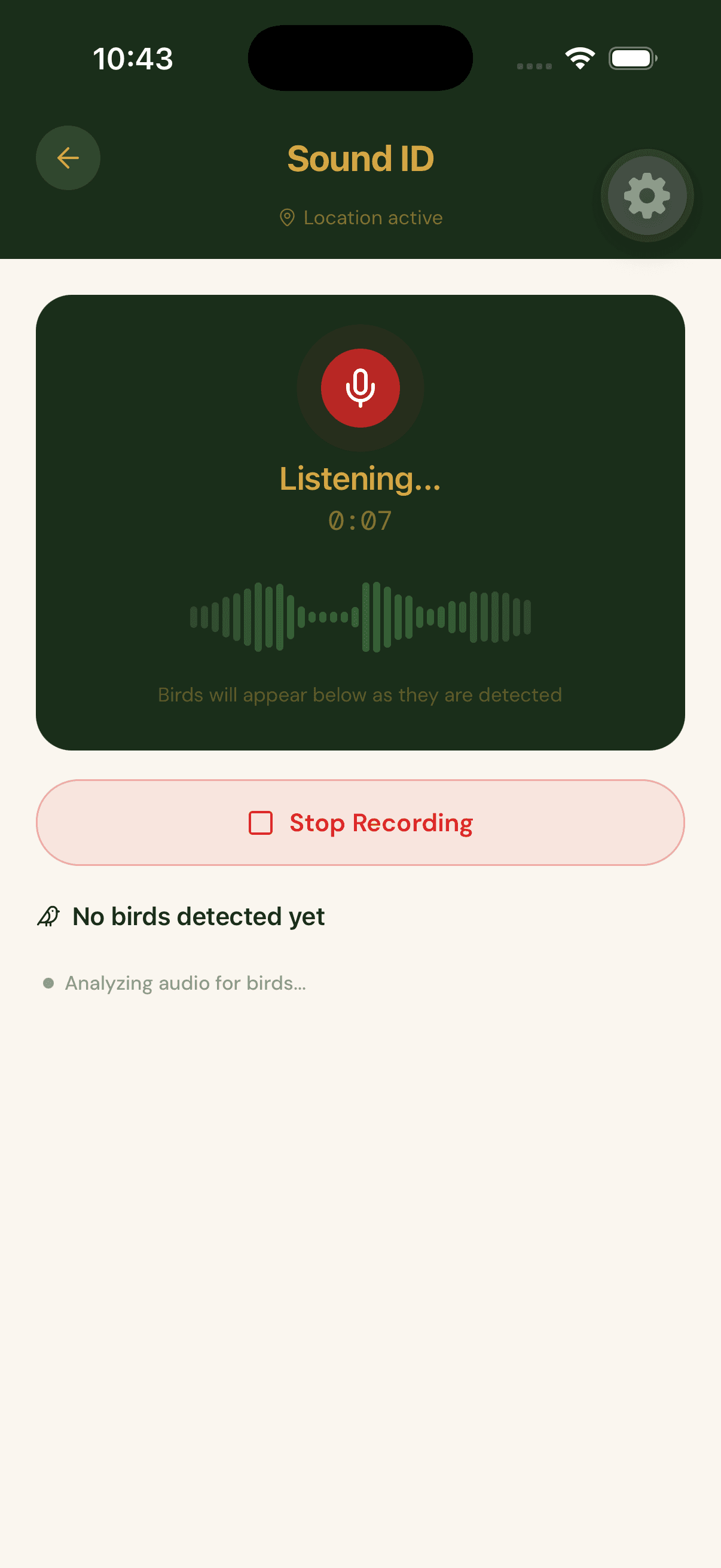 Birdr bird identification screen