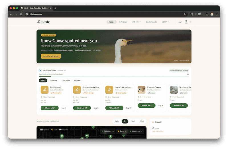 Birdr web app dashboard